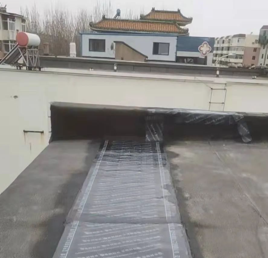 首页| w66集团中国最老牌官方网站