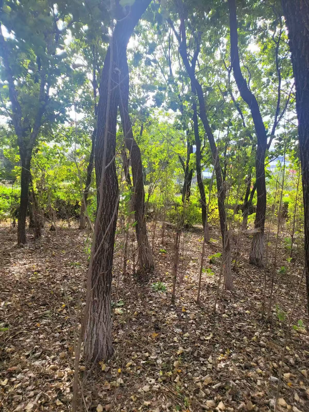 首页| w66集团中国最老牌官方网站